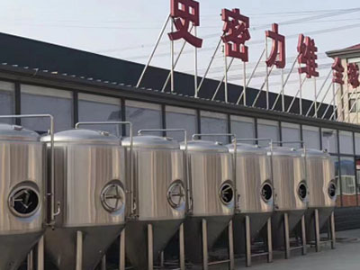 屏山精酿啤酒设备厂—市场规模与跨界新需求